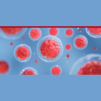 607: Ted’s Stem Cell Treatment Experience: 6 Month Follow Up