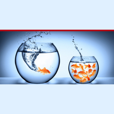 Legendary Life Podcast: Fitness I Healthi Nutrition I Healthy Lifestyle For People Over 30+, 40+