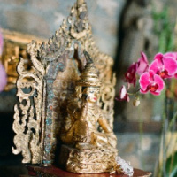 #12 - Panchakarma - Luxurious P	urification