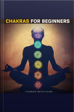 Chakras For Beginners