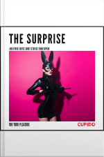 The Surprise - And Other Erotic Short Stories From Cupido