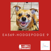 EA569 - Hodgepodge 9