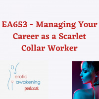 EA653 - Managing your career as a scarlet collar worker