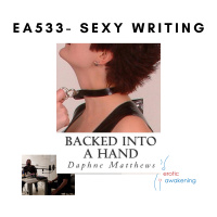 EA533 - Sexy Writing