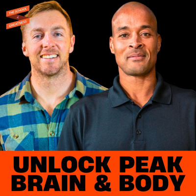 The School of Greatness with Lewis Howes