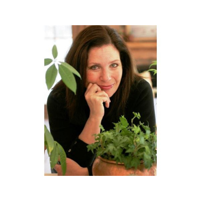 The Quantum Communicator