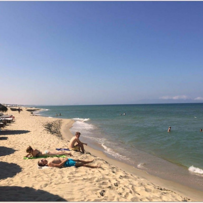 Mike Cernovich Podcast