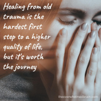 Working through those old emotional triggers so that you can stop the PTSD and start living life again