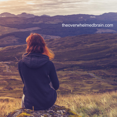 The Overwhelmed Brain | Stress | Anxiety | Relationship | Critical Thinking | Emotional Intelligence | Emotional Abuse