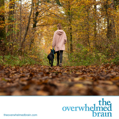 The Overwhelmed Brain | Stress | Anxiety | Relationship | Critical Thinking | Emotional Intelligence | Emotional Abuse