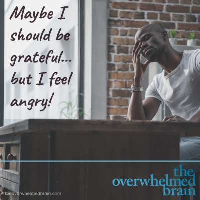 The Overwhelmed Brain | Stress | Anxiety | Relationship | Critical Thinking | Emotional Intelligence | Emotional Abuse