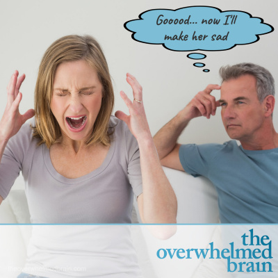 The Overwhelmed Brain | Stress | Anxiety | Relationship | Critical Thinking | Emotional Intelligence | Emotional Abuse