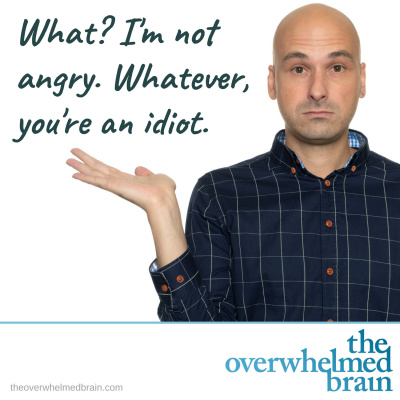 The Overwhelmed Brain | Stress | Anxiety | Relationship | Critical Thinking | Emotional Intelligence | Emotional Abuse