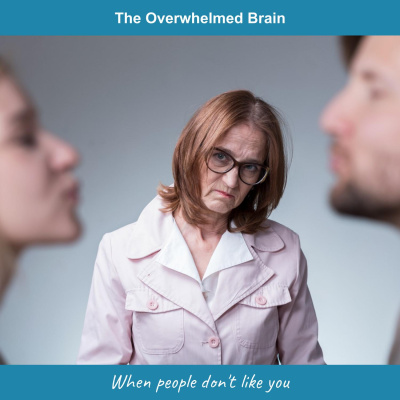 The Overwhelmed Brain | Stress | Anxiety | Relationship | Critical Thinking | Emotional Intelligence | Emotional Abuse