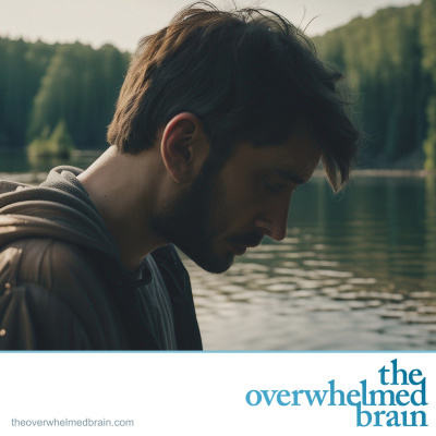 The Overwhelmed Brain | Stress | Anxiety | Relationship | Critical Thinking | Emotional Intelligence | Emotional Abuse