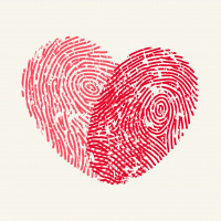 The Intelligence Of Your Heart with Mindie Kniss