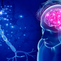 Nervous System Mastery With Jonny Miller