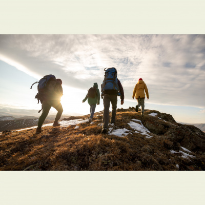 Shrink For The Shy Guy