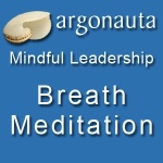 Mindful Leadership - Breath Meditation
