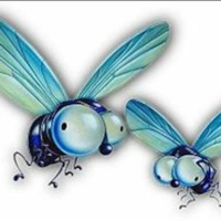 Matando moscas lograras tu exito