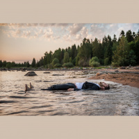 Introvert - Guide to Life