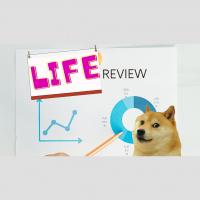 The Life Review Method.
