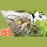 The Most RARE Thing YOU Have, EVERYONE Wants, and You May Not be Aware of...