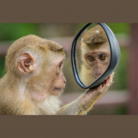 The WRONG question - The RIGHT answer