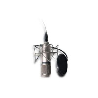 Liz Chen - Gives Your Projects A Voice