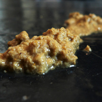 Episode 19: Staining Cats  Dogs