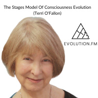 The Stages Model Of Consciousness Evolution (Terri OFallon)