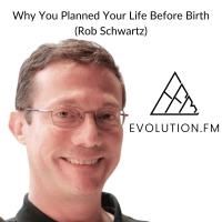 Why You Planned Your Life Before Birth (Rob Schwartz)