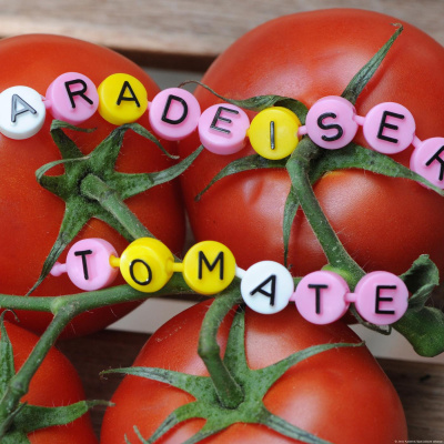 Deutsche Im Alltag - Alltagsdeutsch | Deutsch Lernen | Deutsche Welle