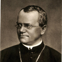 Erbsen und Mathematik - Gregor Mendel, Vater der Genetik