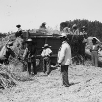 Palästina zwischen den Weltkriegen - Mandat für ein Pulverfass