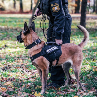 Der Polizeihund - Harte Ausbildung für Hund und Mensch