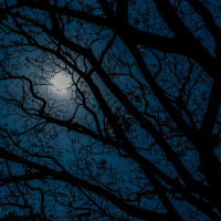 Angst vor der Dunkelheit - Was die Finsternis unheimlich macht