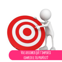Vols descobrir què timpedeix complir el teu propòsit?