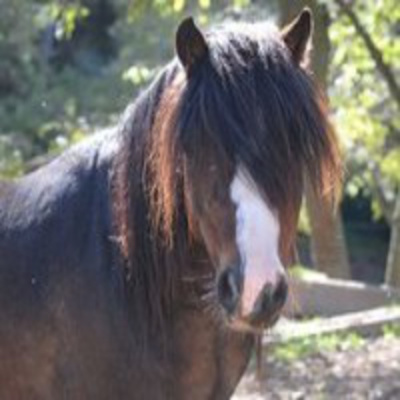 Podcast De Becoming-psicocoaching