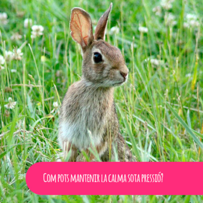 Podcast De Becoming-psicocoaching