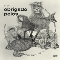 Obrigado pelos beija-flores, tartarugas-marinhas, garças, araras, micos-leões dourados, onças-pintadas e garoupas