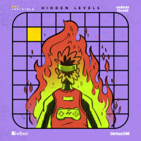 Hidden Levels #1: Mr. Boomshakalaka