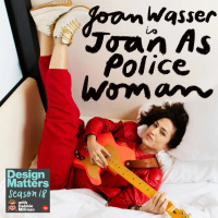 Joan As Police Woman