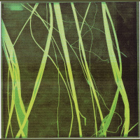 “Sustainable?” Part 3 : A Quarter Century of Environmentally Conscious Design, by Mahadev Raman