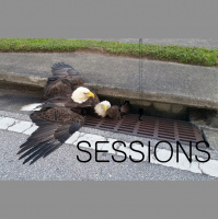 A Salute to Garbage Fires