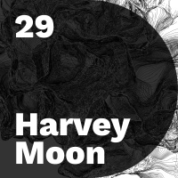 Harvey Moon, New Media Artist