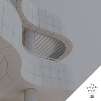 116 Momentum with Grant  Vince