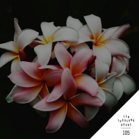 105 Iteration with Grant  Vince