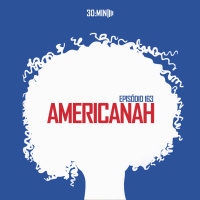 163 – Americanah – Chimamanda Adichie