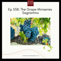 Ep 558: The Grape Mini Series -- Sagrantino